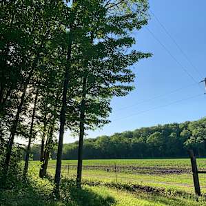 Quiet backyard RV site full hookup