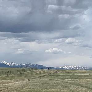 Soonzapunk Ranch