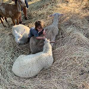 Loved meeting the farm animals :)