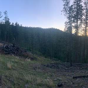 The Wilderness