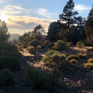 One of the views from the top of Deadman's Ridge at sunset. Take the middle trail to the left of the deck.