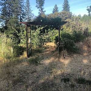 Entrance to the yurt