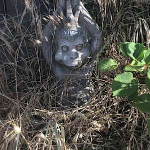 Monkey decor