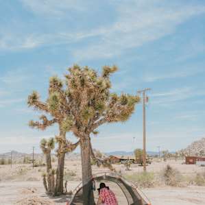 One of the available places to camp on the property.