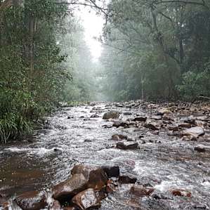 Brogers creek