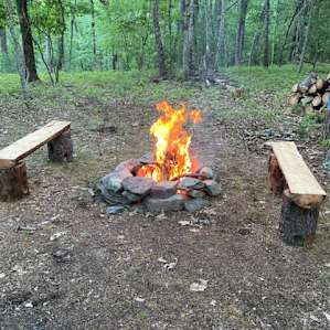 Forest camp
