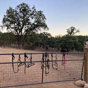 Gate into the campsite