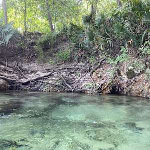 Running Springs
