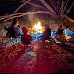Quail Campsite Deep in the Bush
