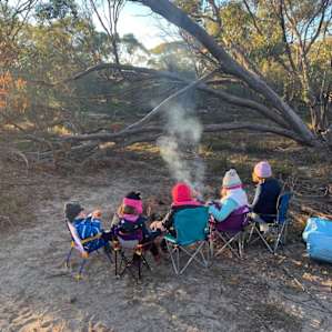 Quail Campsite Deep in the Bush