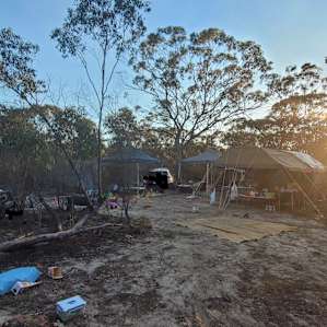 Quail Campsite Deep in the Bush