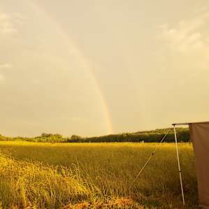 Bearden Farm overnight parking