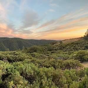 View from the deck overlooking the valley