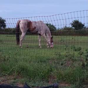 Kamride Ranch