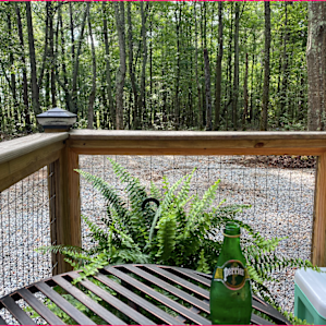 Morning meditation on the deck