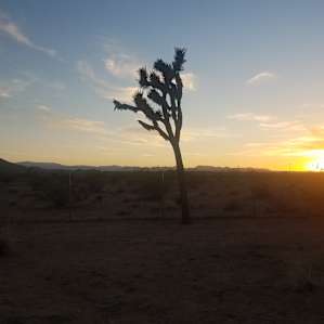 JT on property at sunset