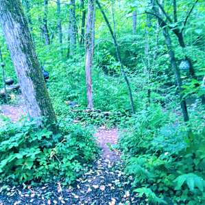 Creekside Cottage
