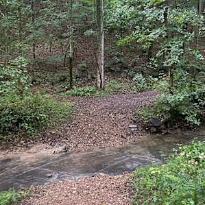 Holland Creek Camp