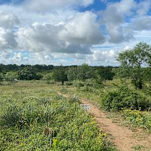 500 Waves Beach Camp on Llano River