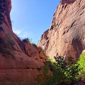 Quiet Zion