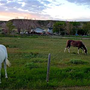 Big Sky Critter Farm