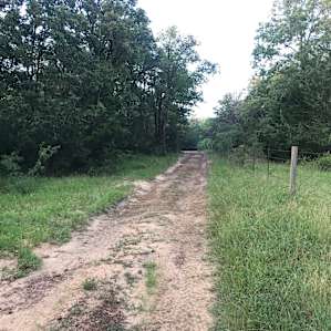 4C Ranch Adventure