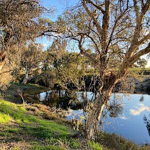 view from the campsite