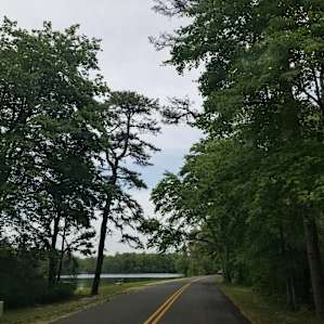 The view driving in