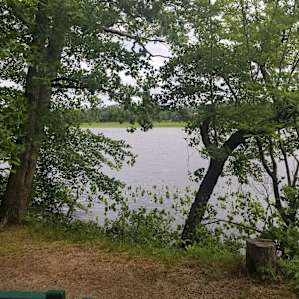 Great places to view
