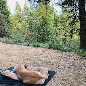 Cosmo's Camp: Campsite #5