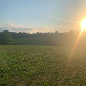 Barren River Magic Fox Den Site