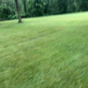 Camp along the Bucolic Brandywine