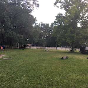 Wooded areas in a horse pasture