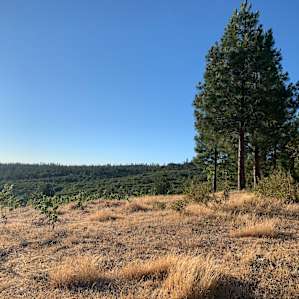 Yosemite Garden Camp Tent Site 2