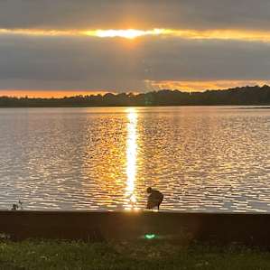 A cute duck watched the sunset with us.