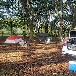 Tents/Buffalo Creek at Newell Lodge