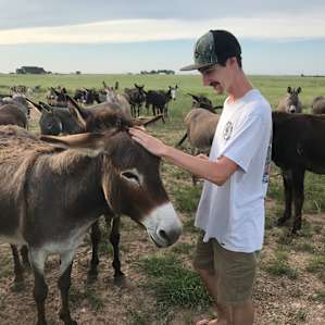 Willow was a sweet donkey