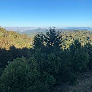 View from the Yurt.