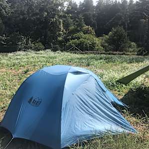 My tent & Waking up to the beautiful trees nearby.