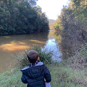 Camp at Wattle Valley Farm Wollombi