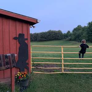 Michelle's Cozy Barn