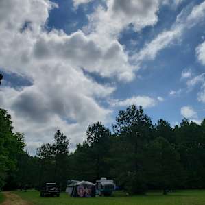 Shakori Hills Vehicle Camping