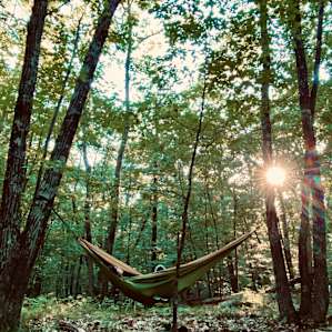 Tent camping in woodland paradise