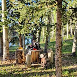 site #1 has a log picnic table and chairs
