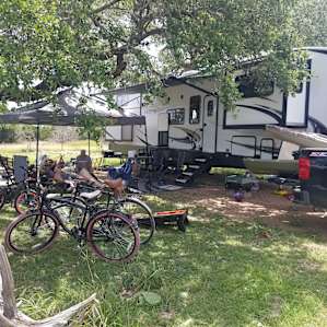 Great shade trees.