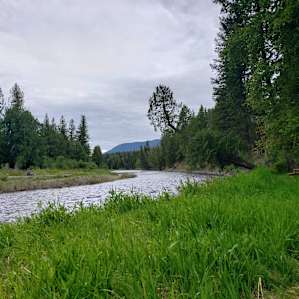 Cedar Grove RV/Trailer Parking Camp