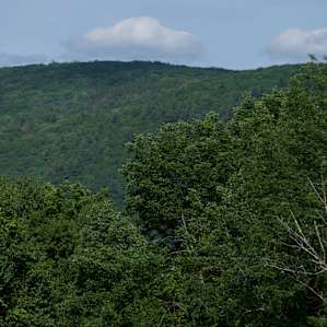 Zoomed in view from the site