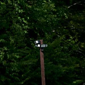 Motion sensor lights enough to be triggered by wildlife. No bears sneaking up on you here!