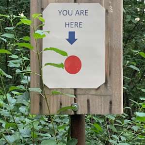 On the Vista Trail
