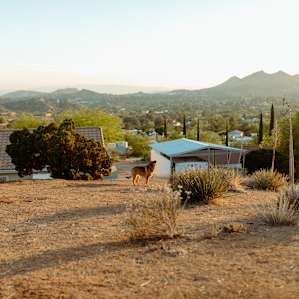 Above the RV where you can enjoy the scene and explore the plants and garden space.